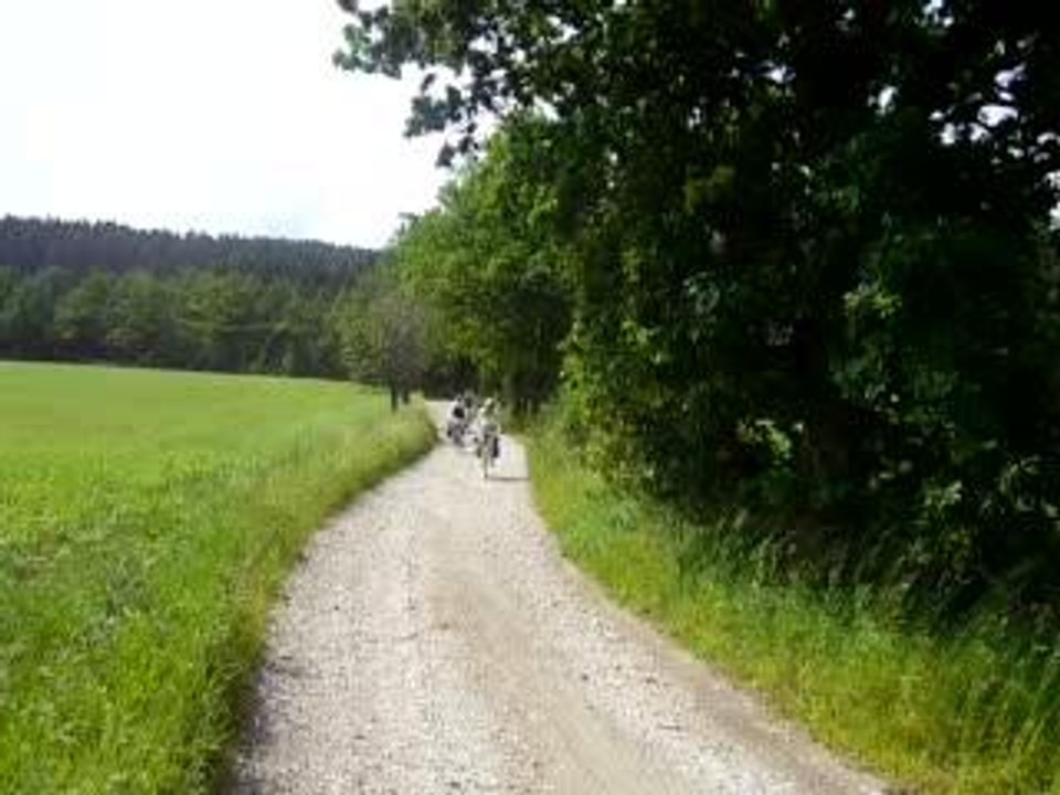 sjezd