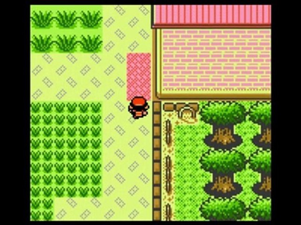 WT pokémon argent 09