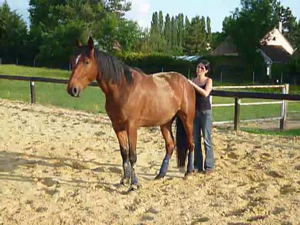 Titou mon coeur