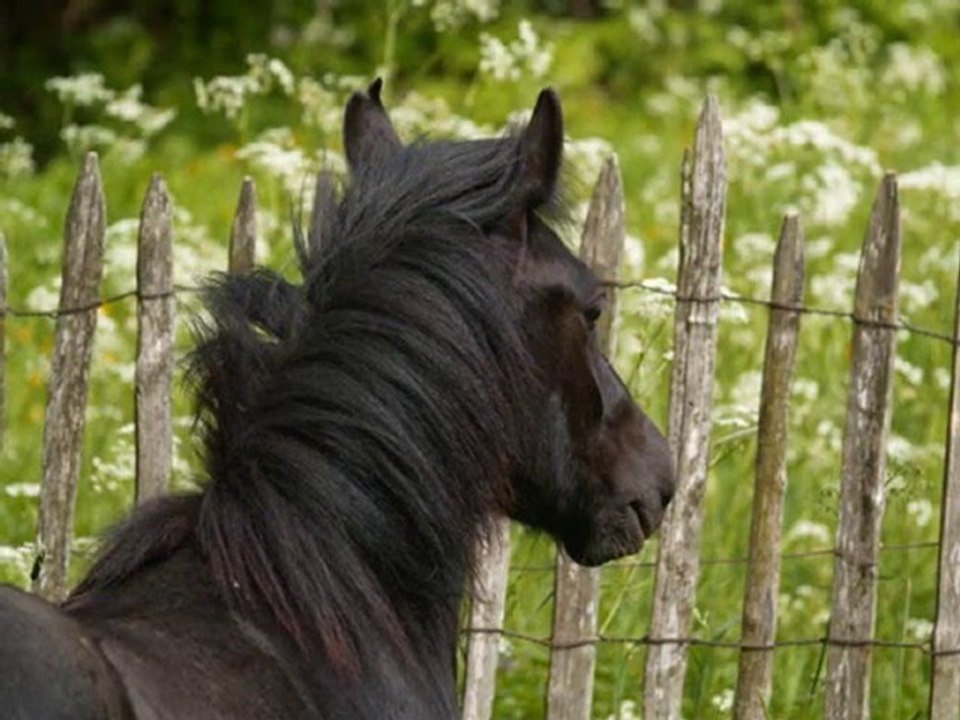 SansTitre