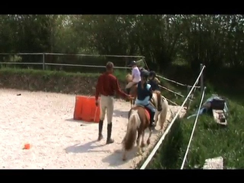 joli poney shethland