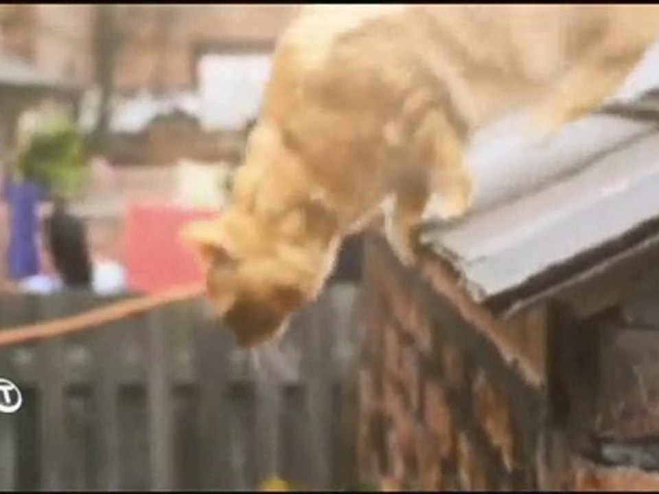 Corrie - New Credits (From 31st May 2010)