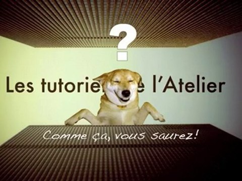 Séquence d'introduction aux tutoriels