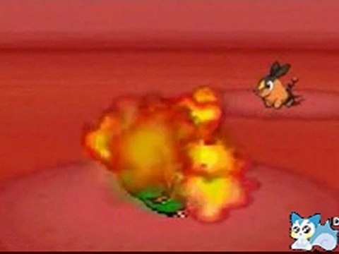 Starters - Pokémon version Noire & version Blanche