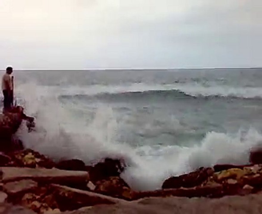 فؤاد وزينه على بحر بيروت