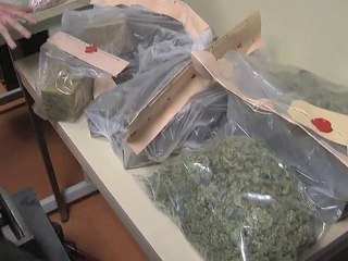 Lutte anti drogue à Strasbourg