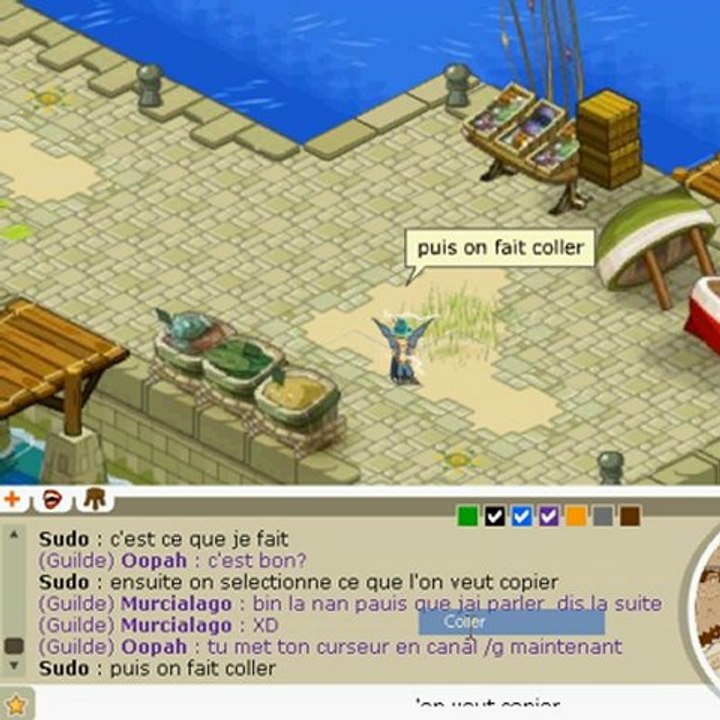 comment copier/coller du texte sur dofus