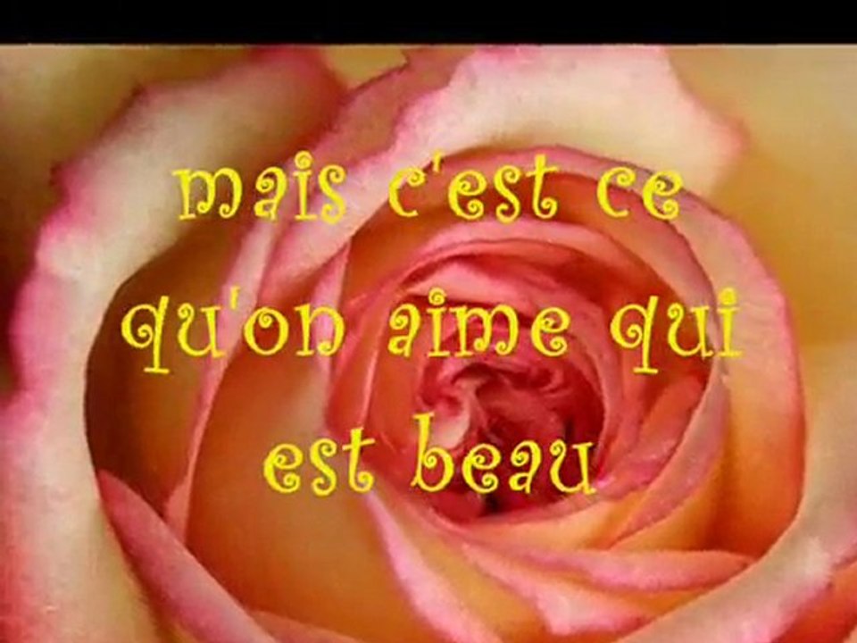 Roses et citations d'amour