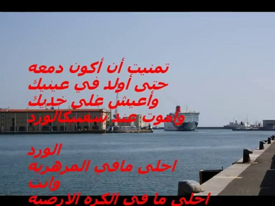 mezoed