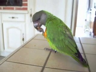 Cohabitation après une semaine 💑