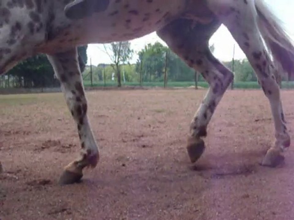 DSCF2575