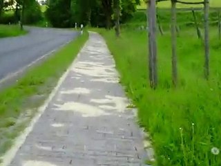 Radweg zwischen Dahle und Springe am Deister