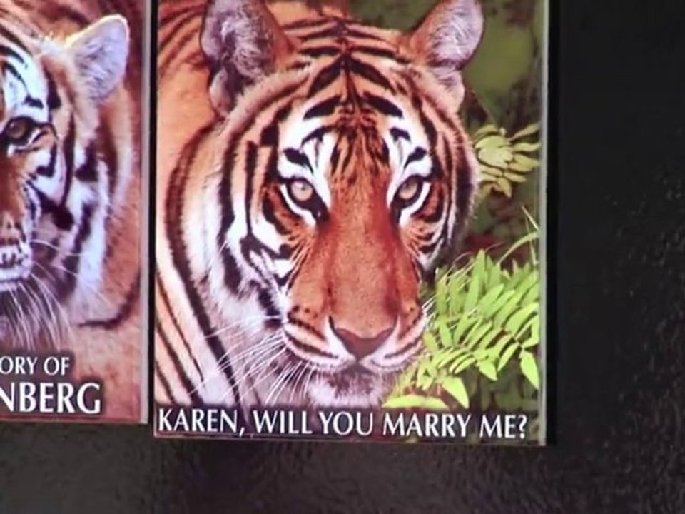 BIG CAT Proposal...