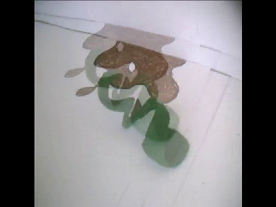 Stop motion Mojito shoes  version finale