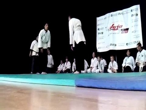 Wu Dao : démonstration (enfants) gala des arts martiaux 2010