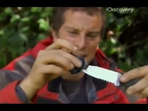 Repas a la Bear Grylls- Man vs food (3) Ragou de limace