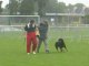 Miniature DailyMotion