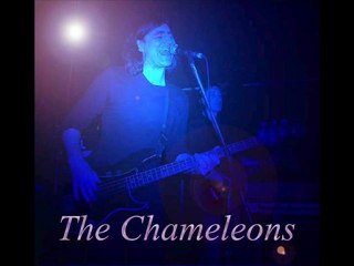THE CHAMELEONS - here today- live Bremen 1983