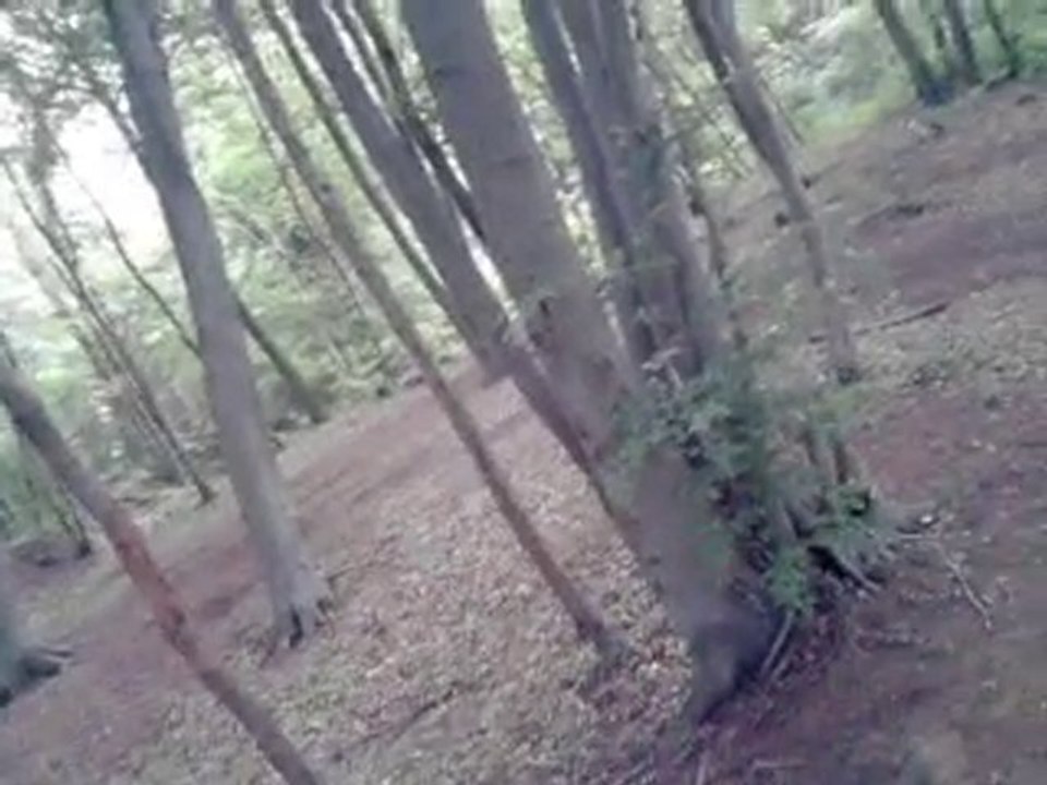 cross en velo