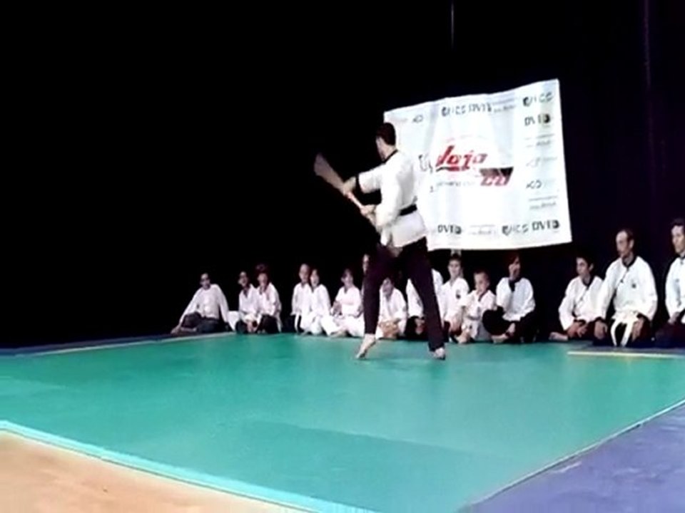 Wu Dao : démonstration gala des arts martiaux 2010