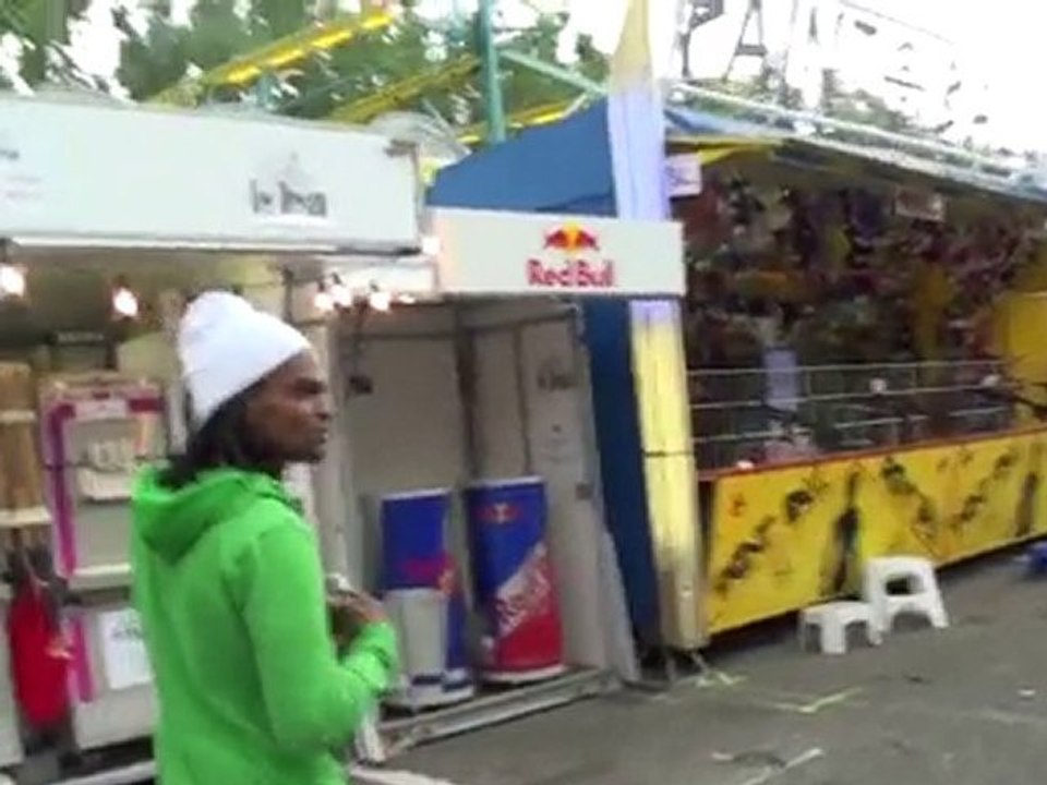 Le bois dormant (Gandhi)