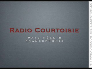 Armes électro-magnétiques 2_2