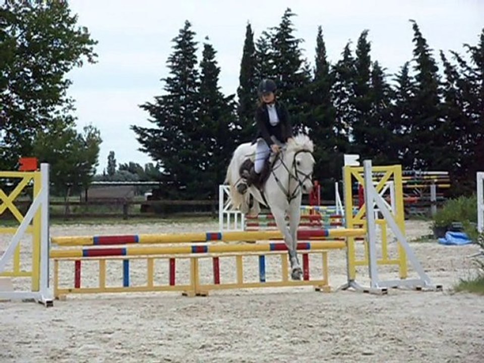 poneys