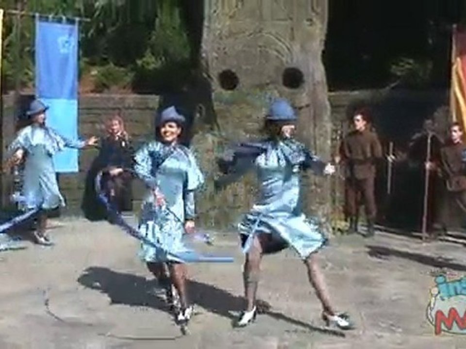 Beauxbatons and Durmstrang The Wizarding World Harry Potter