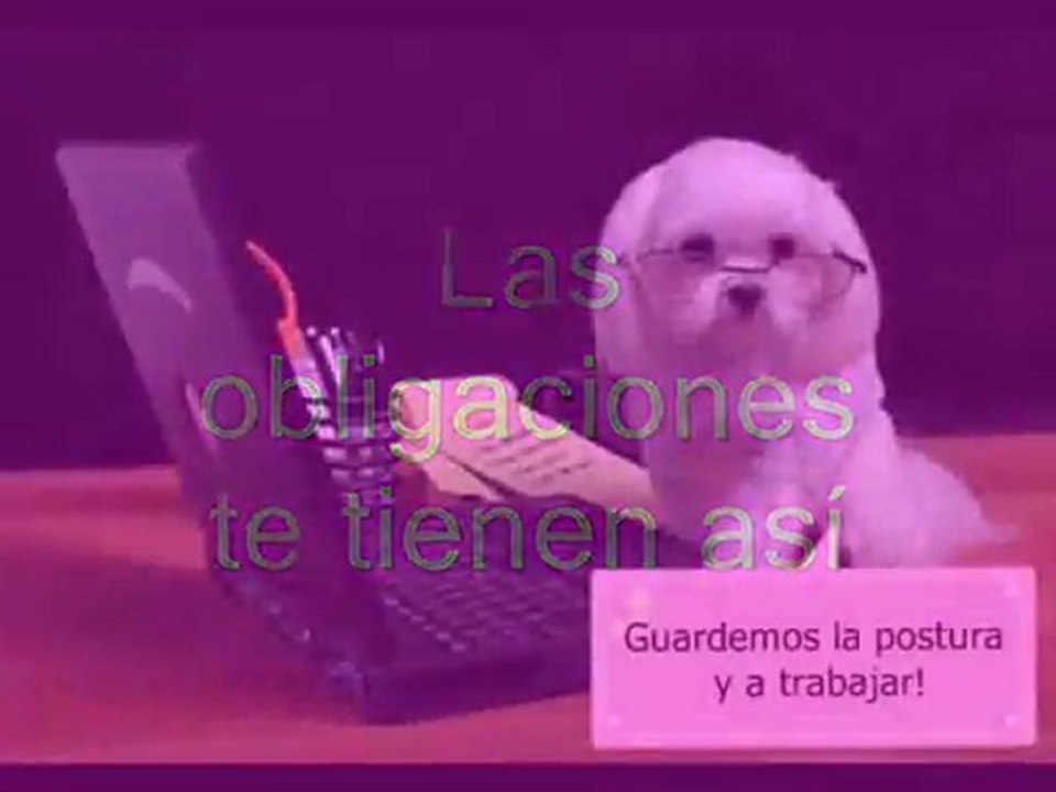 Feliz Cumple!!!!