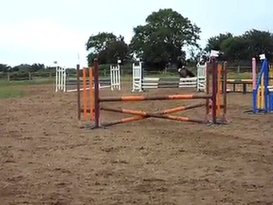 SAM_0515