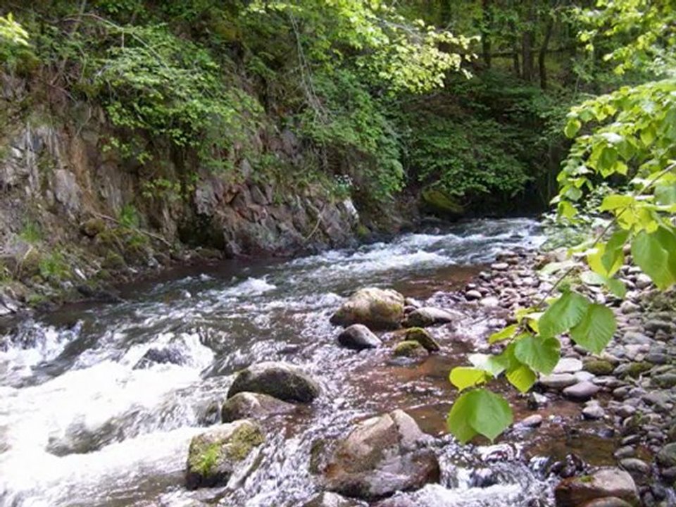 Le forum "La truite et les carnassiers" en Auvergne