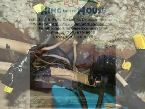 Bellingham WA Home Inspection King of the House