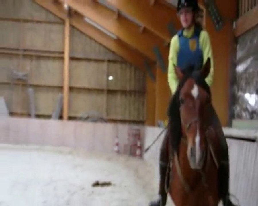 NEW ! Ethologie avec Loù le 3o/o3/2o1o