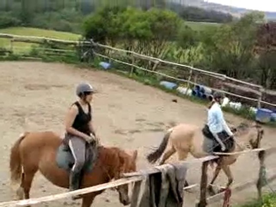 galop5