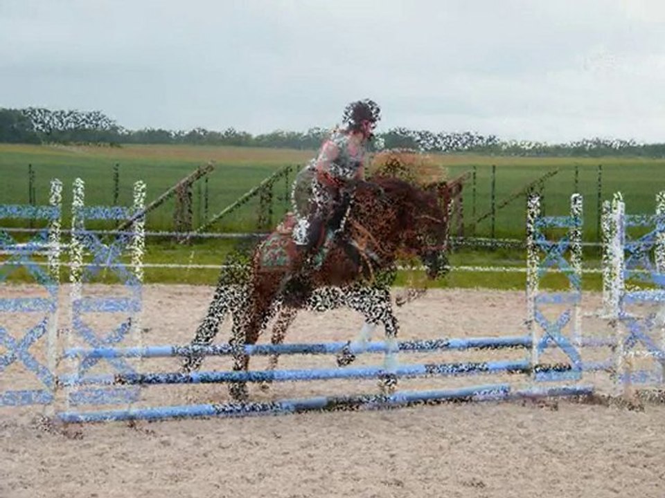 entrainement de saut d'obstacle