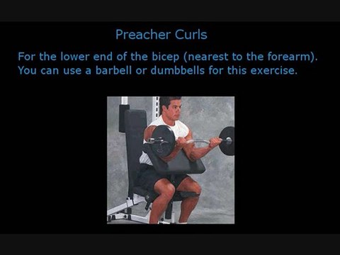 Top Bicep Exercises. Muscle Building Tips For Big Arms