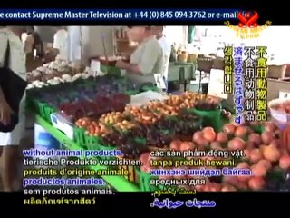 Earth Day 2010: The 7 Best Ways to Save the Planet