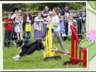 demo obé agility caluire