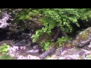 Valea MARE 21-24 mai 2010