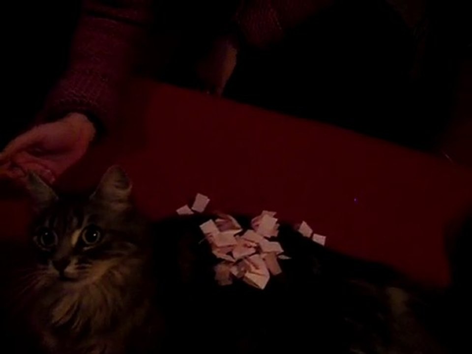 tirage au sort rodéo chat and the winner izzzzzzzzzz