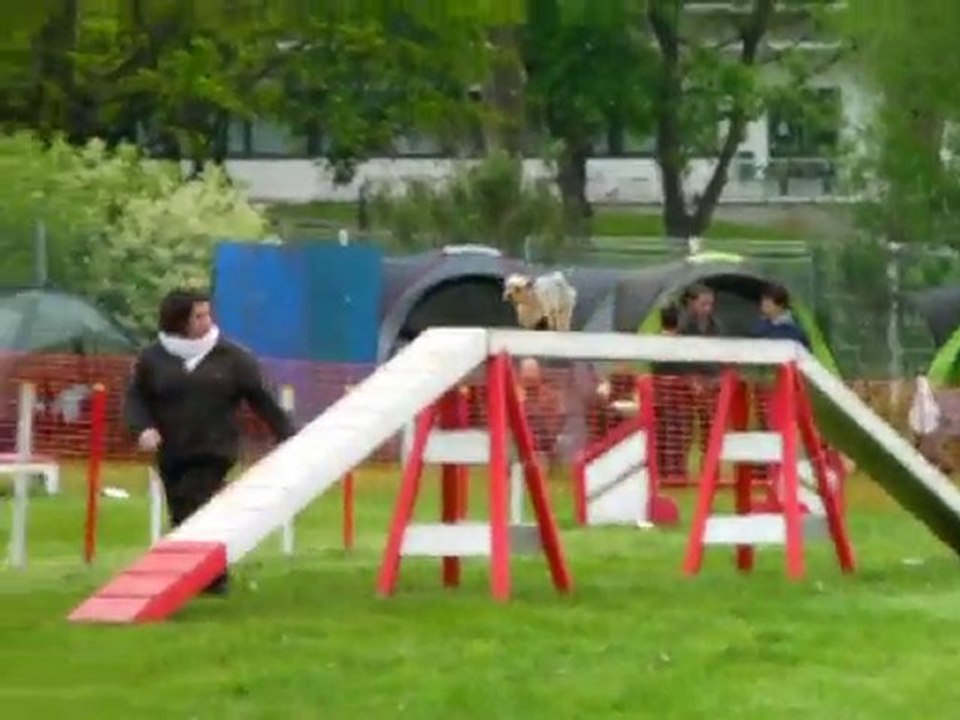 1er concours AL à NANCY