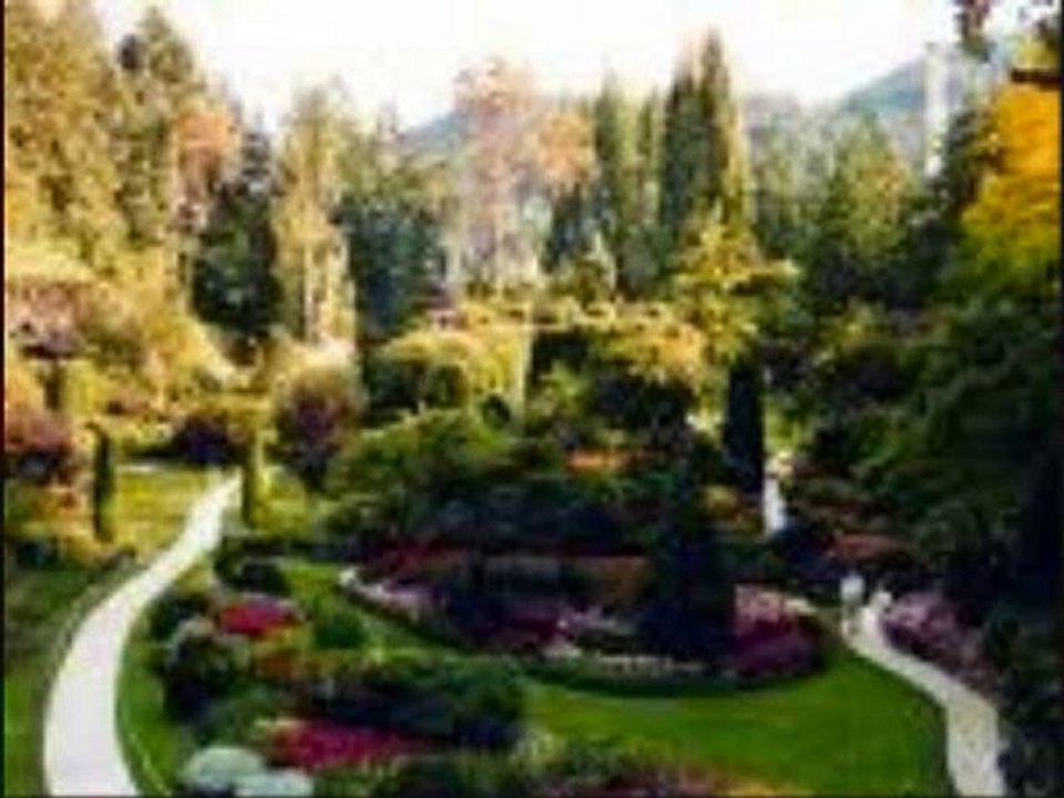 Le jardin.......