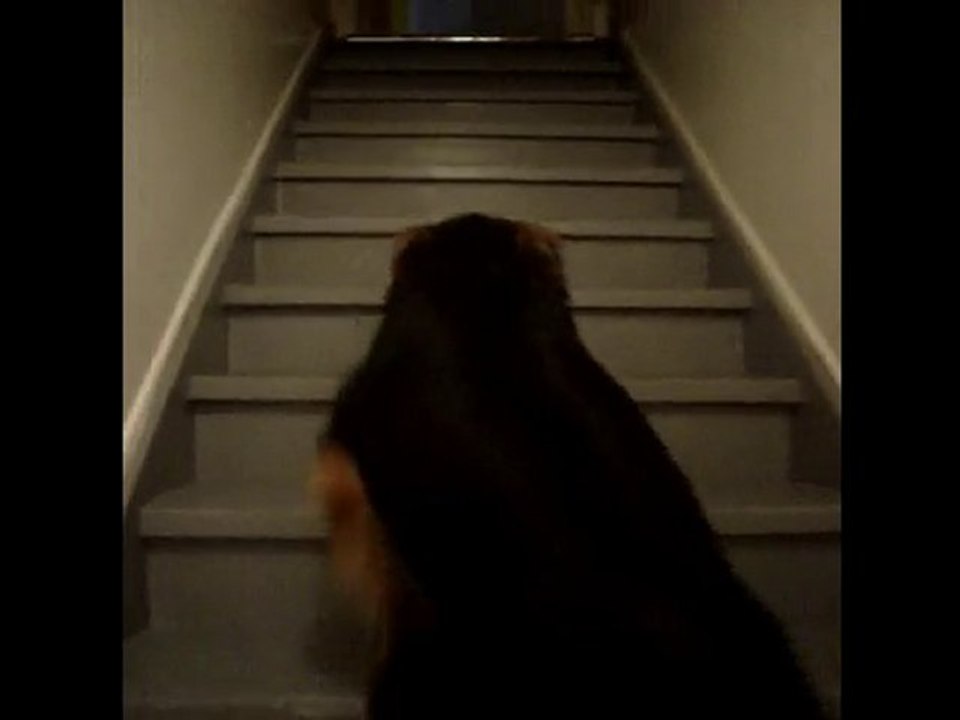 escalier Luna