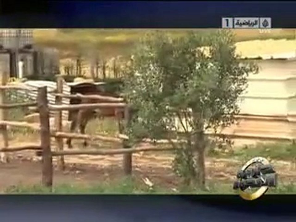 جزيرة النجوم: بادوالزاكي من كبارأثرياء المغرب