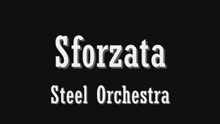 Sforzata Steel Orchestra Triumphs in Pan in the 21st ...
