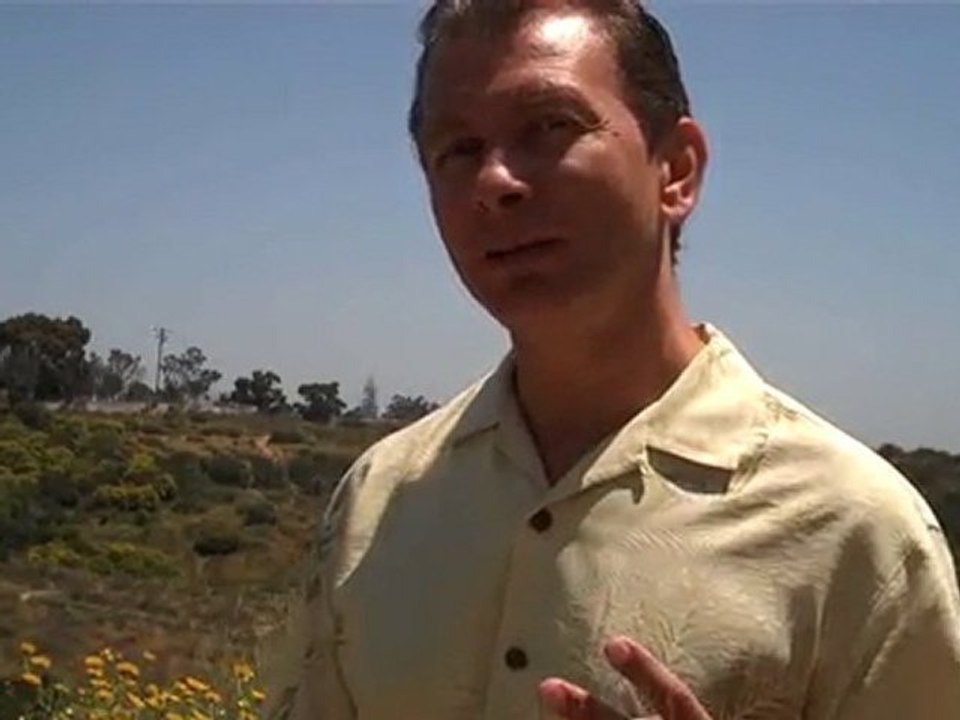 "Main St Marketing Bonus, Traffic Geyser Review,Firepower"