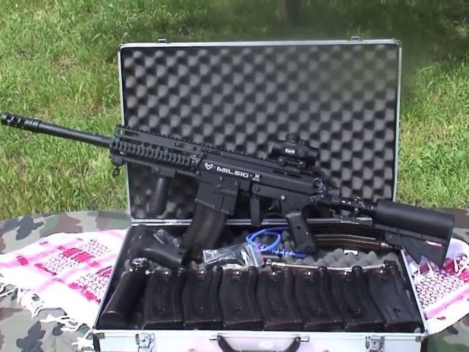 Parasites télé à chats, le MILSIG PARADIGM, partie 1!