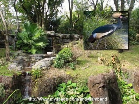 [World Music Montreal Africa] Andy Liam Band-Montreal-Afric