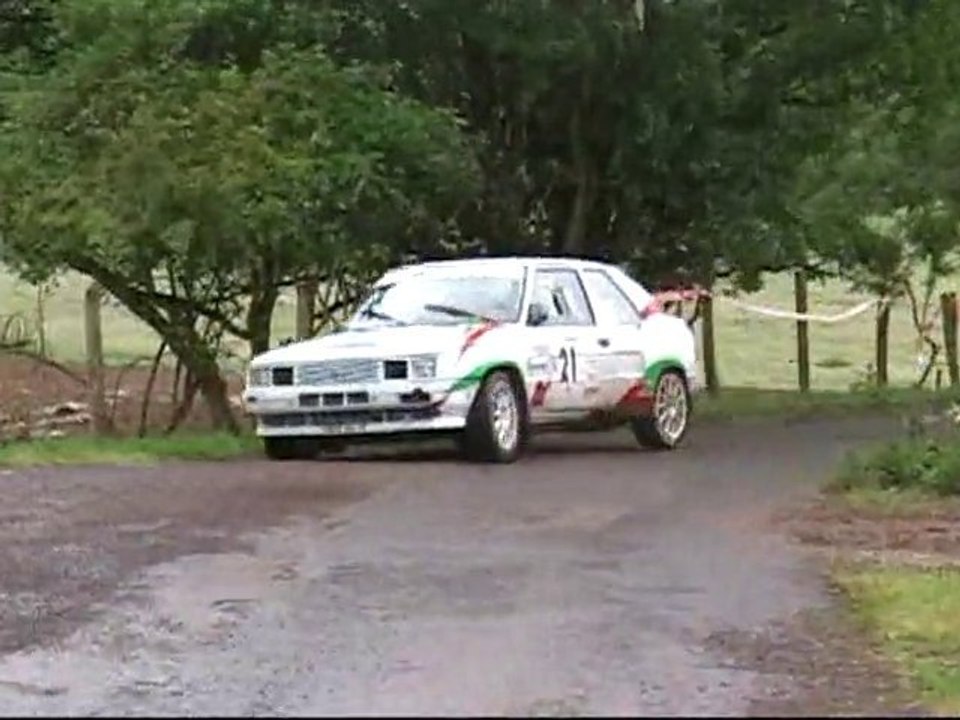 Rallye Saint Geniez d'Olt 2010