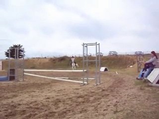 Galice et moi à l'obstacle